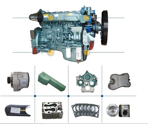 Shaanxi Shacman Truck Spare Parts Fast Gearbox Transmission Drive Gear 18869 Оригинальный завод